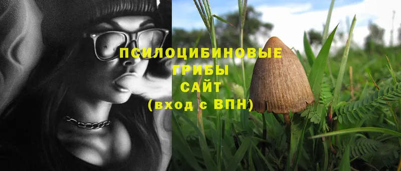 Галлюциногенные грибы MAGIC MUSHROOMS  Бежецк 